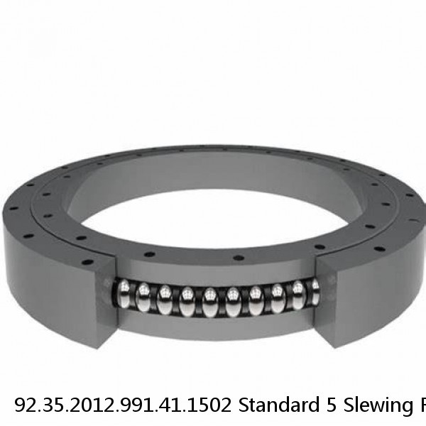 92.35.2012.991.41.1502 Standard 5 Slewing Ring Bearings