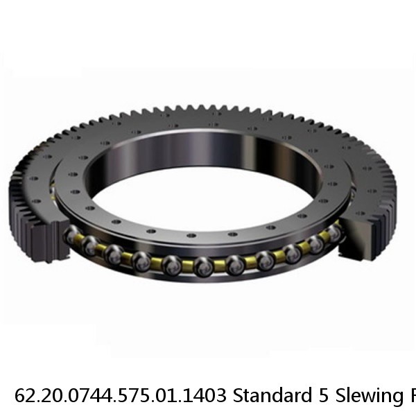 62.20.0744.575.01.1403 Standard 5 Slewing Ring Bearings