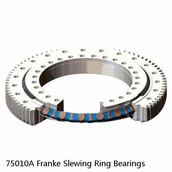 75010A Franke Slewing Ring Bearings
