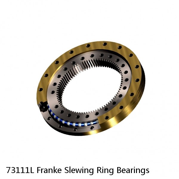 73111L Franke Slewing Ring Bearings