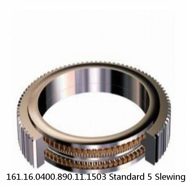 161.16.0400.890.11.1503 Standard 5 Slewing Ring Bearings