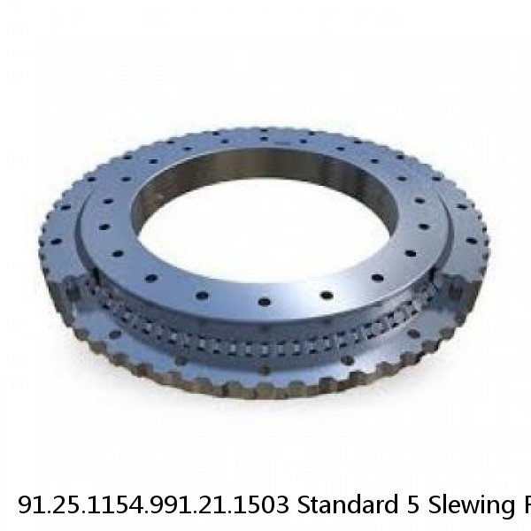 91.25.1154.991.21.1503 Standard 5 Slewing Ring Bearings