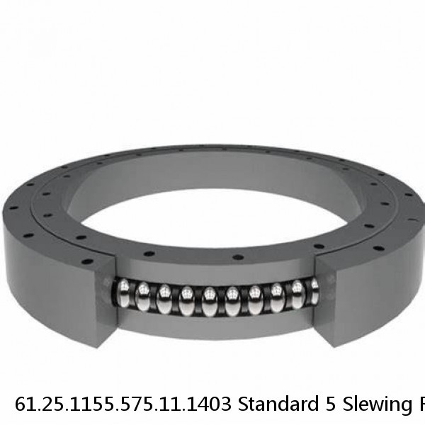 61.25.1155.575.11.1403 Standard 5 Slewing Ring Bearings