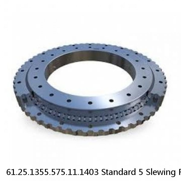 61.25.1355.575.11.1403 Standard 5 Slewing Ring Bearings