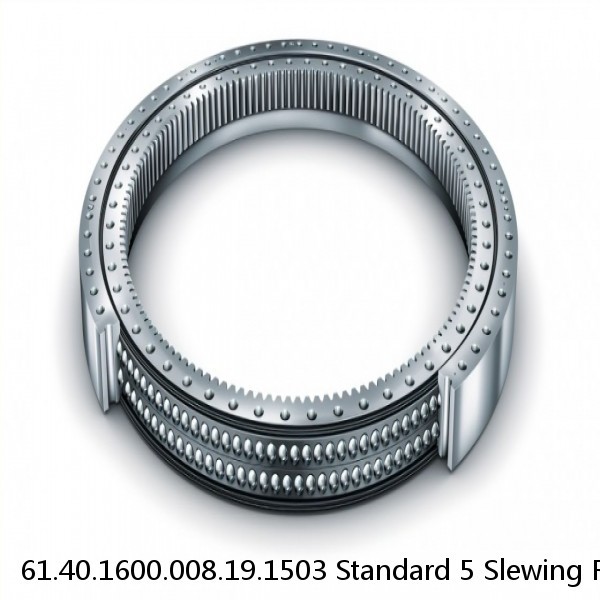 61.40.1600.008.19.1503 Standard 5 Slewing Ring Bearings