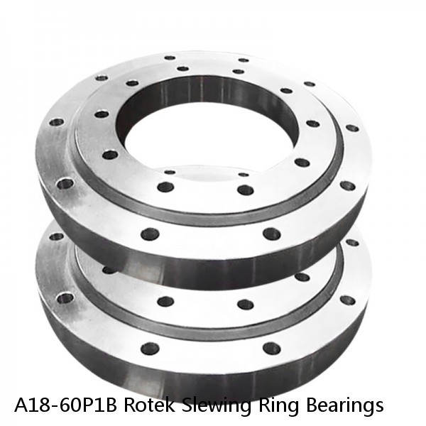 A18-60P1B Rotek Slewing Ring Bearings