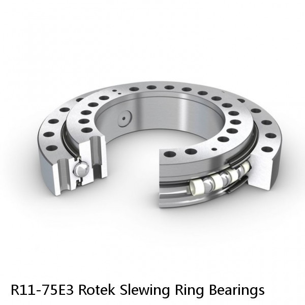 R11-75E3 Rotek Slewing Ring Bearings