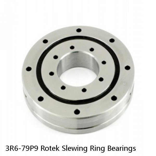 3R6-79P9 Rotek Slewing Ring Bearings