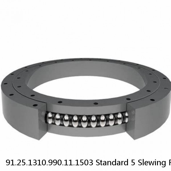 91.25.1310.990.11.1503 Standard 5 Slewing Ring Bearings