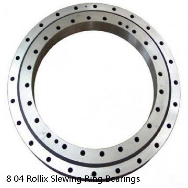 8 04 Rollix Slewing Ring Bearings