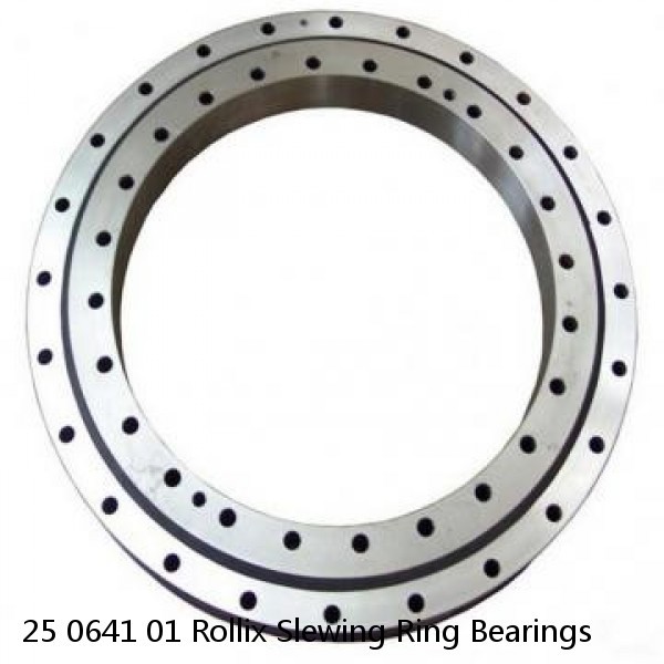 25 0641 01 Rollix Slewing Ring Bearings