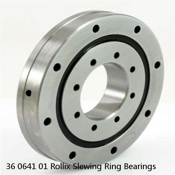 36 0641 01 Rollix Slewing Ring Bearings