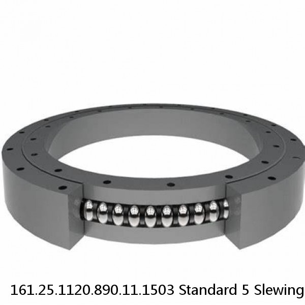 161.25.1120.890.11.1503 Standard 5 Slewing Ring Bearings