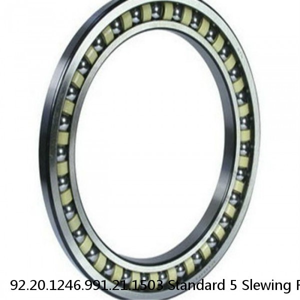 92.20.1246.991.21.1503 Standard 5 Slewing Ring Bearings