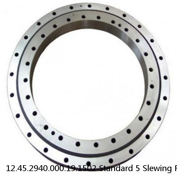 12.45.2940.000.19.1502 Standard 5 Slewing Ring Bearings