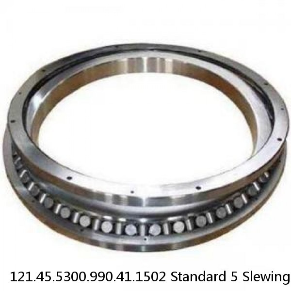 121.45.5300.990.41.1502 Standard 5 Slewing Ring Bearings