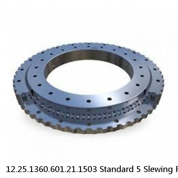 12.25.1360.601.21.1503 Standard 5 Slewing Ring Bearings