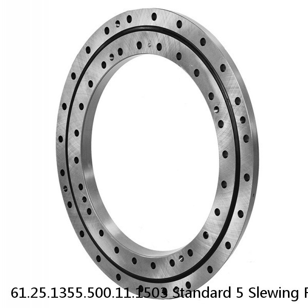 61.25.1355.500.11.1503 Standard 5 Slewing Ring Bearings