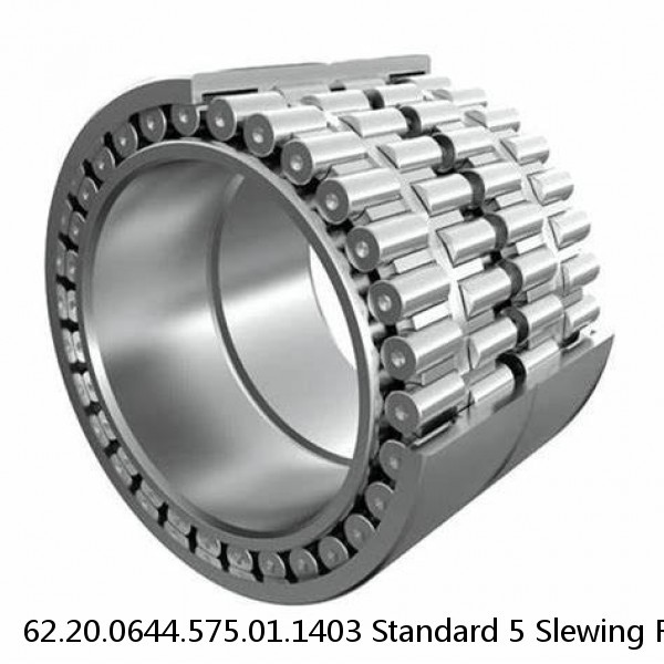 62.20.0644.575.01.1403 Standard 5 Slewing Ring Bearings