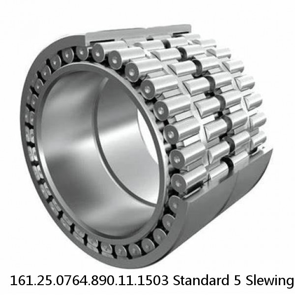 161.25.0764.890.11.1503 Standard 5 Slewing Ring Bearings