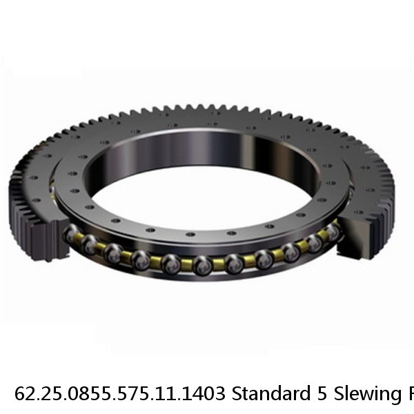 62.25.0855.575.11.1403 Standard 5 Slewing Ring Bearings