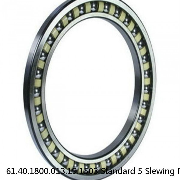 61.40.1800.013.19.1503 Standard 5 Slewing Ring Bearings