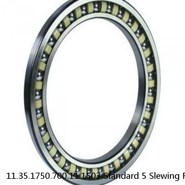 11.35.1750.700.11.1503 Standard 5 Slewing Ring Bearings