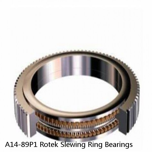 A14-89P1 Rotek Slewing Ring Bearings