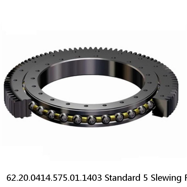 62.20.0414.575.01.1403 Standard 5 Slewing Ring Bearings