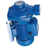 Atos PFE-41045 Vane Pump