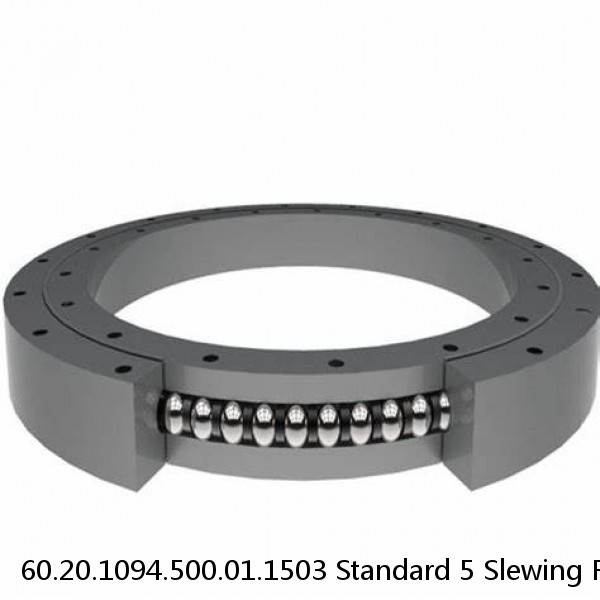 60.20.1094.500.01.1503 Standard 5 Slewing Ring Bearings