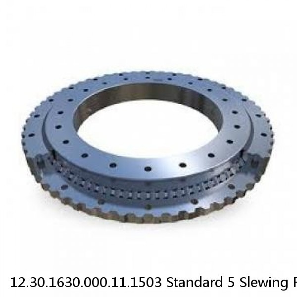 12.30.1630.000.11.1503 Standard 5 Slewing Ring Bearings