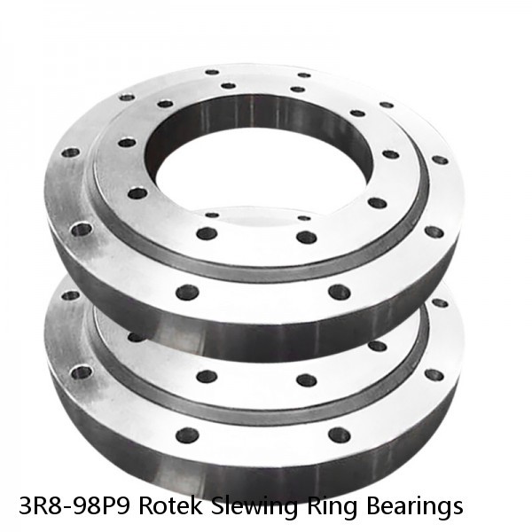 3R8-98P9 Rotek Slewing Ring Bearings