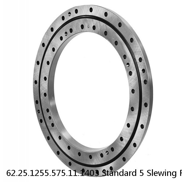 62.25.1255.575.11.1403 Standard 5 Slewing Ring Bearings