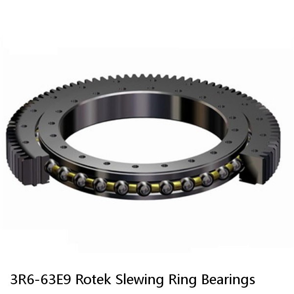 3R6-63E9 Rotek Slewing Ring Bearings