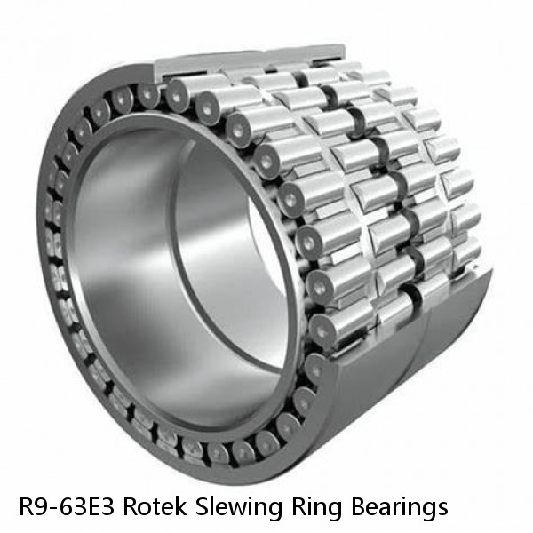 R9-63E3 Rotek Slewing Ring Bearings