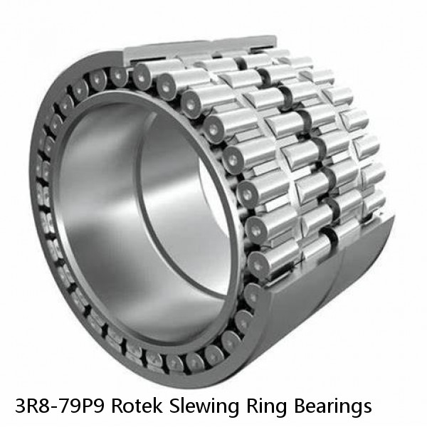 3R8-79P9 Rotek Slewing Ring Bearings