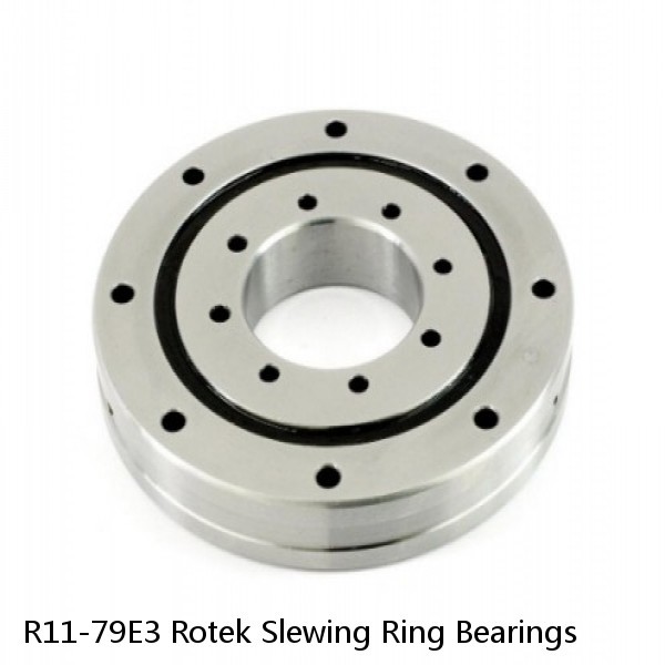 R11-79E3 Rotek Slewing Ring Bearings