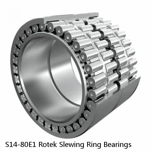 S14-80E1 Rotek Slewing Ring Bearings