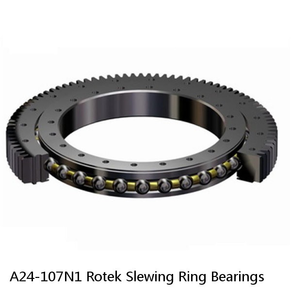 A24-107N1 Rotek Slewing Ring Bearings