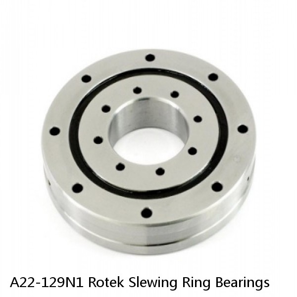 A22-129N1 Rotek Slewing Ring Bearings