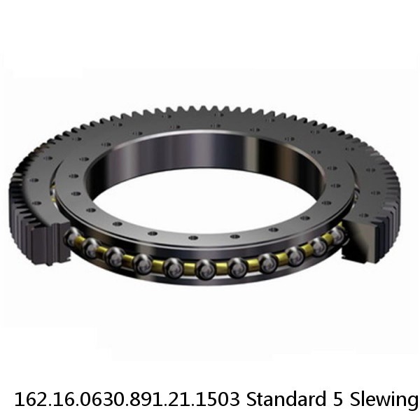 162.16.0630.891.21.1503 Standard 5 Slewing Ring Bearings