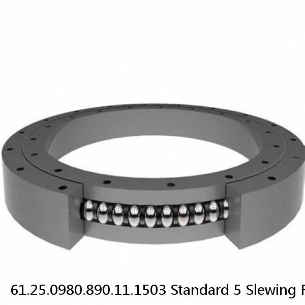 61.25.0980.890.11.1503 Standard 5 Slewing Ring Bearings