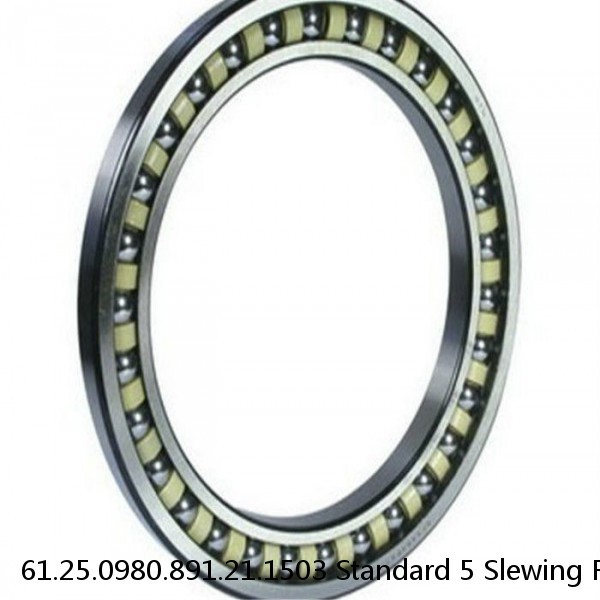 61.25.0980.891.21.1503 Standard 5 Slewing Ring Bearings