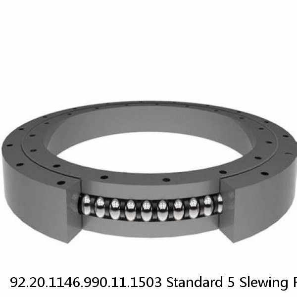 92.20.1146.990.11.1503 Standard 5 Slewing Ring Bearings