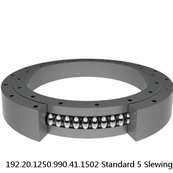 192.20.1250.990.41.1502 Standard 5 Slewing Ring Bearings