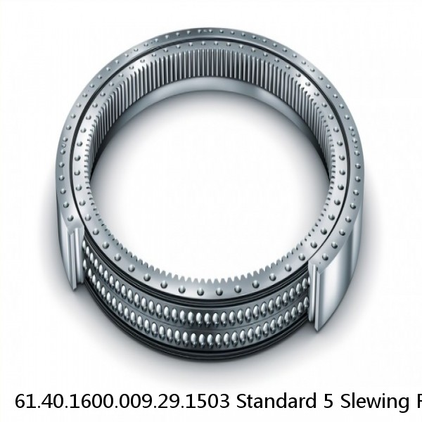 61.40.1600.009.29.1503 Standard 5 Slewing Ring Bearings