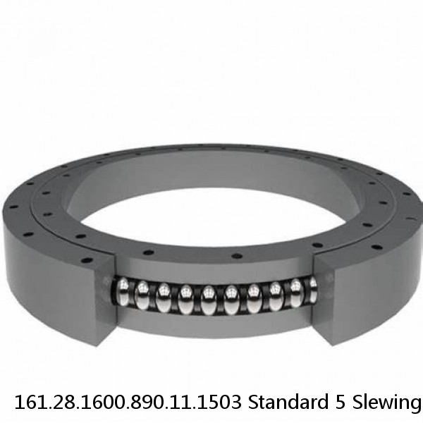 161.28.1600.890.11.1503 Standard 5 Slewing Ring Bearings