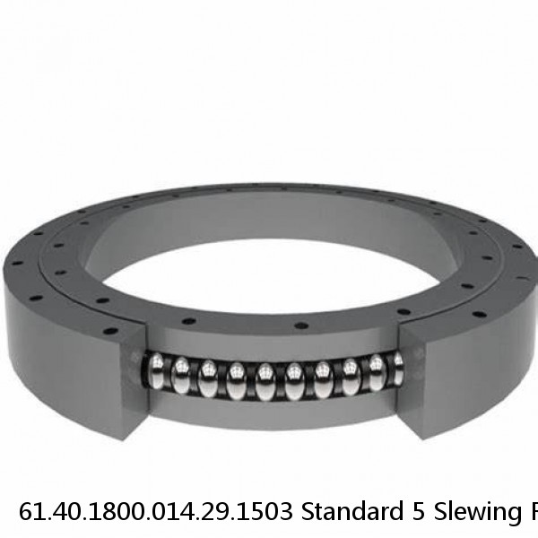 61.40.1800.014.29.1503 Standard 5 Slewing Ring Bearings