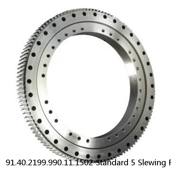 91.40.2199.990.11.1502 Standard 5 Slewing Ring Bearings